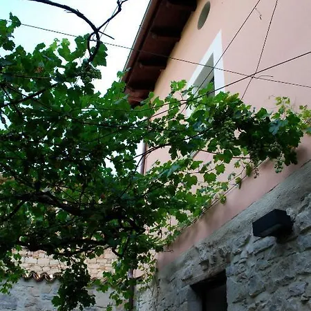 Farma Dora & Giannina In Taranta Taranta Peligna